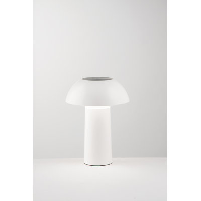 Camrynn Desk Lamp