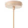 Blumenfeld 1 - Light Matte Ball Pendant