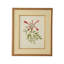 Catesby Bird And Botanical VI Print