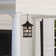 Freeport 1 -Bulb 14" H Outdoor Hanging Lantern