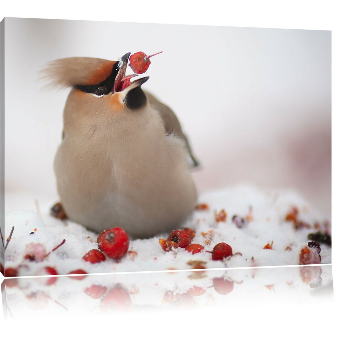 Leinwandbild Kleiner Vogel im Schnee