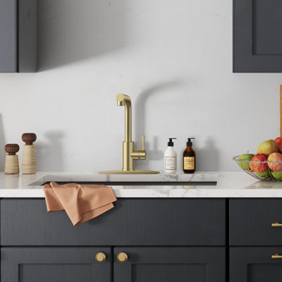 Pull Down Single Handle Kitchen Faucet With Deck Plate, Handles and Supply Lines