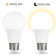 40 Watt Equivalent A19 E26/Medium (Standard) LED Bulb