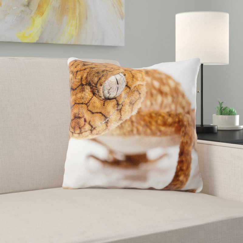 Coussin salamandre