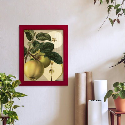 Apple Harvest I " Apple Harvest I "