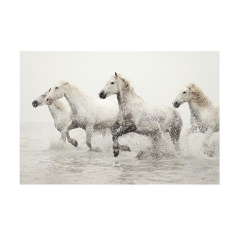 Escape Print by Irene Suchocki, 24" H x 36" W, Outdoor