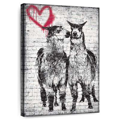 Hardie Llama Romance