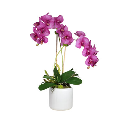 Orchid Faux Floral in Planter