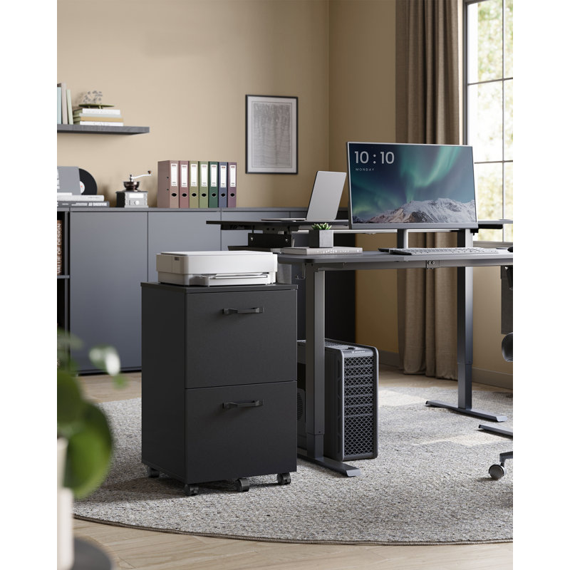 Franny 2 Drawer Filing Cabinet, Black