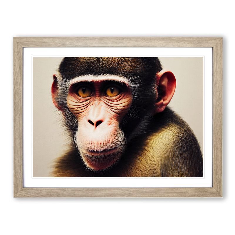 Monkey - Framed Print, 46cm H x 64cm W x 2cm D, Oak Framed