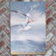 D.FINNEY Traditional Wall Decor on Ceramic