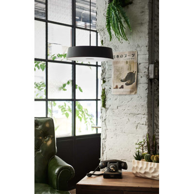 China 1 - Light Unique/Statement Pendant