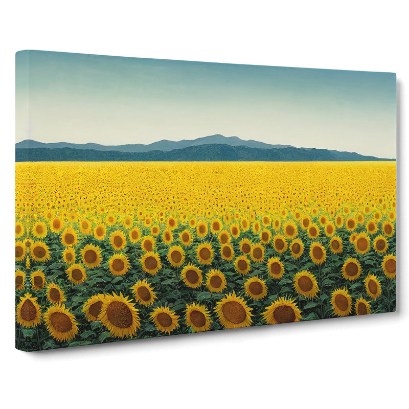 Extraordinary Sunflower Field - Wrapped Canvas, 35cm H x 50cm W x 3cm D
