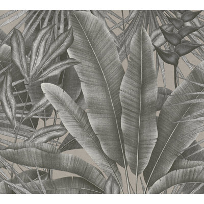 Rahnuma 10.05m x 53cm Matte Double Roll