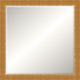 Alden Solid Wood Beveled Mirror