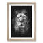 The Proud Lion - Framed Print-56742562-56742565