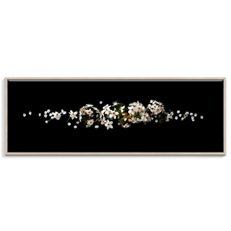 Print on Canvas, 52.5cm H x 153.5cm W, Floater Frame