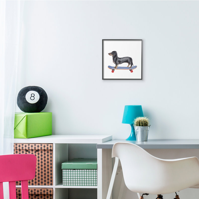 Chien teckel sur planche à roulettes bleue, Giclée encadrée noir minuit, H 12 po x l 12 po x P 1,5 po