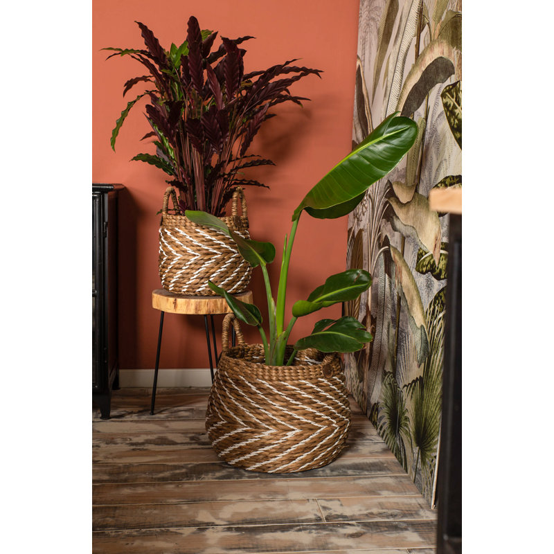 Highland Dunes Wicker Decorative Basket, Natural/white