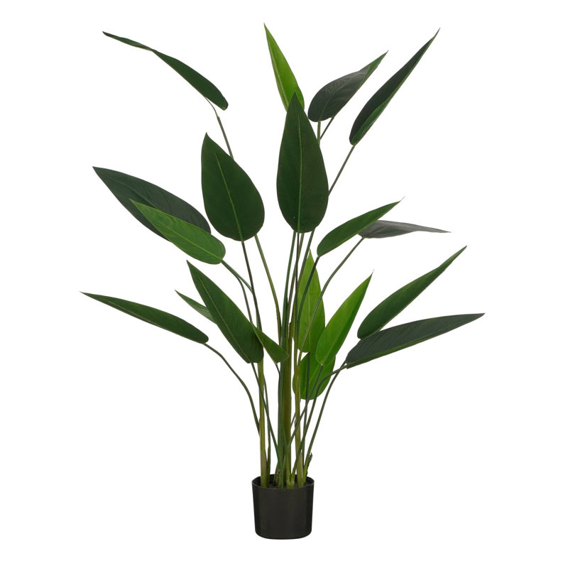 Heliconia Tree, 4.92ft H x 2.95ft W x 2.95ft D
