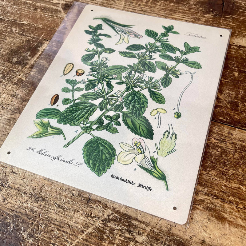 Plants & Flowers Wall Decor on Metal, 40cm H x 28cm W