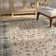 Bristol Point Performance Oriental Rug