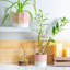 Nicola Spring - Reactive Glaze Plant Pots - 2 Sizes-63880970