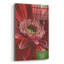 «Bauble» par Barbara Keith - impression sans cadre-1798510942