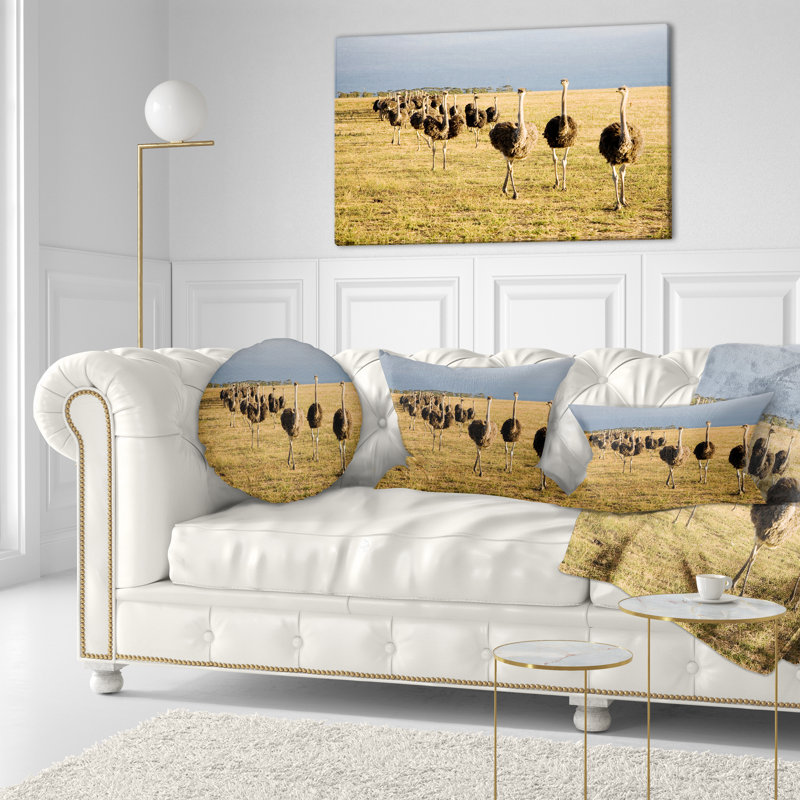 Coussin lombaire afrique du sud africain ostriches