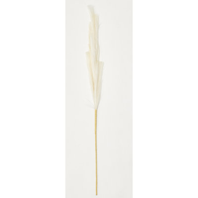 35 po Pampas