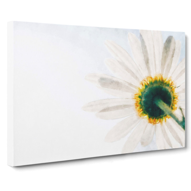 White Daisy Vol.1 - Wrapped Canvas, 50cm H x 76cm W x 3cm D