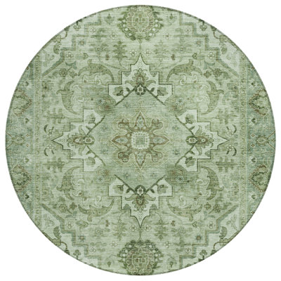 Machine Washable Indoor/Outdoor Oden ACN2164 Global Rug