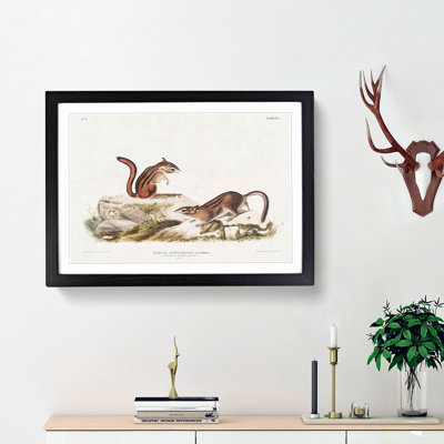 Ground Squirrels by J.W. Audubon - Picture Frame Painting Print