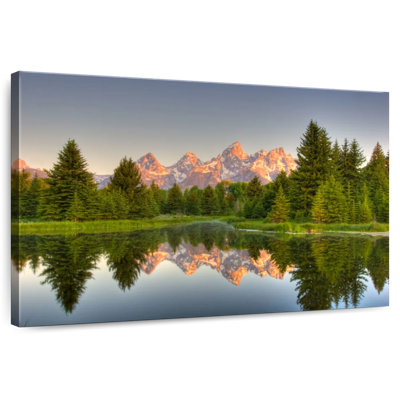 Alvord Trees Of Grand Teton