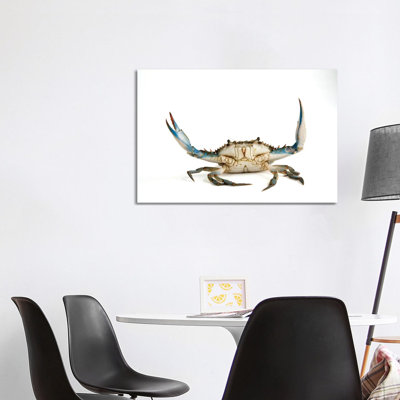 A Blue Crab 1 Piece Wall Art on Canvas