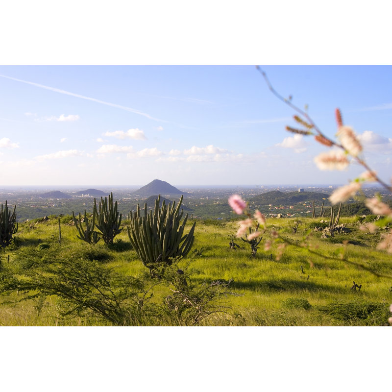 View From Hilltop, Arikok Aruba by Fmbackx - No Frame Art Prints on Canvas, 61cm H x 91cm W