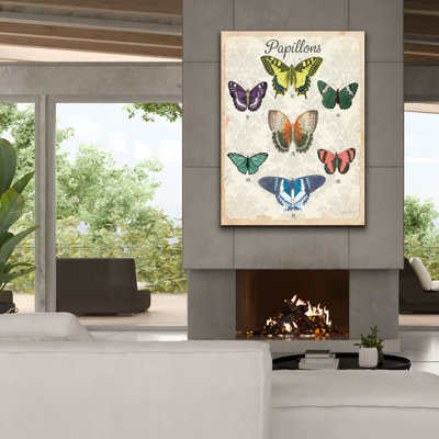 'Beautiful Papillon Study B' by Jean Plout Canvas Wall Art