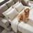 Gwendolynne Upholstered 92'' Sleeper Sofa-97832090