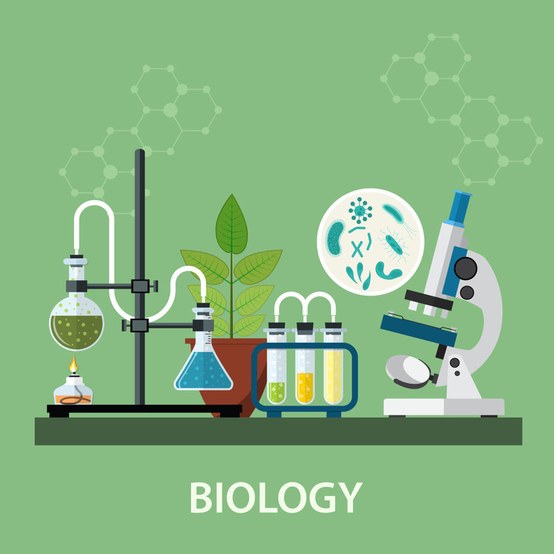 Biology Laboratory Workspace by Drogatnev - Wrapped Canvas Print, 30cm H x 30cm W x 3.8cm D