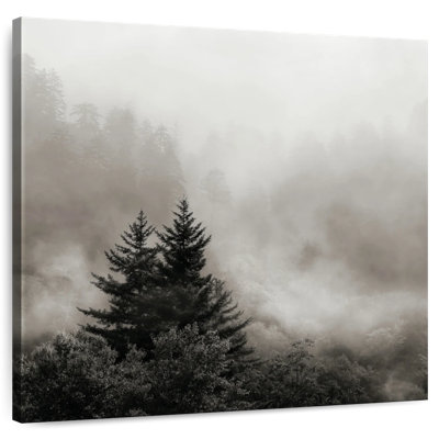 Alvord Rising Mist Smoky Mountains
