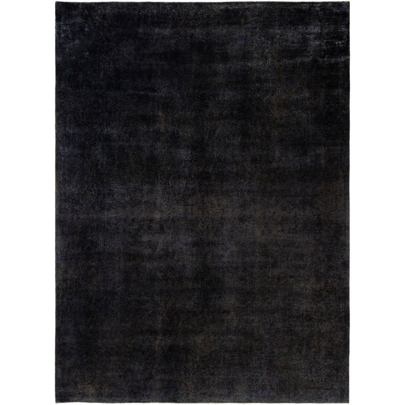 Tapis unique 9 pi 3 po x 12 pi 2 po Huckstep