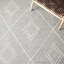 Tapis gris / ivoire Holtby Southwestern-1954309349