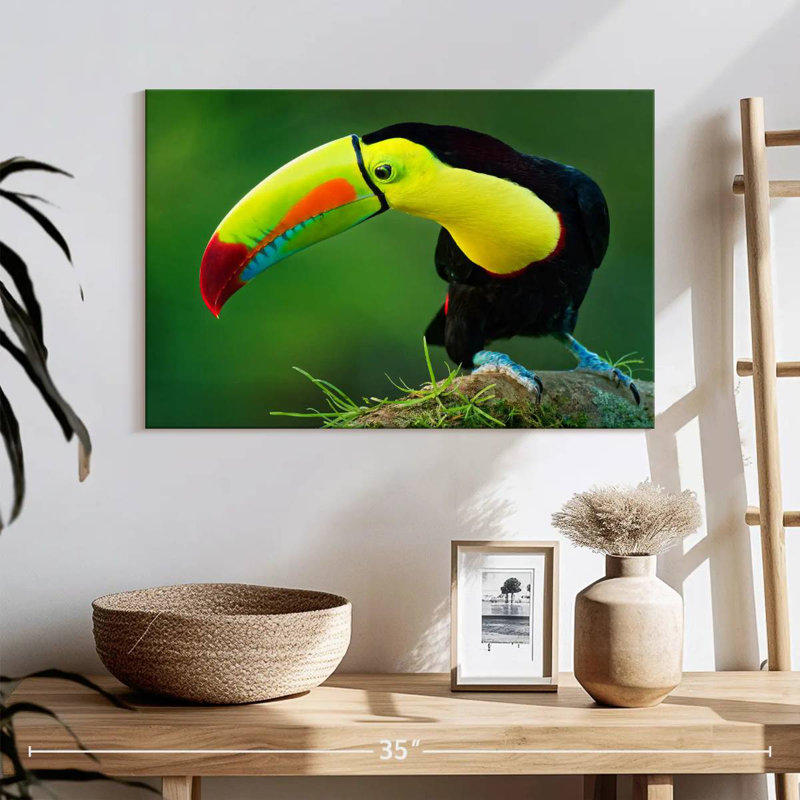 Toucan à soufre, H 16 po x l 24 po