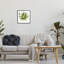 Plante grasse aloès-69571524-69571528