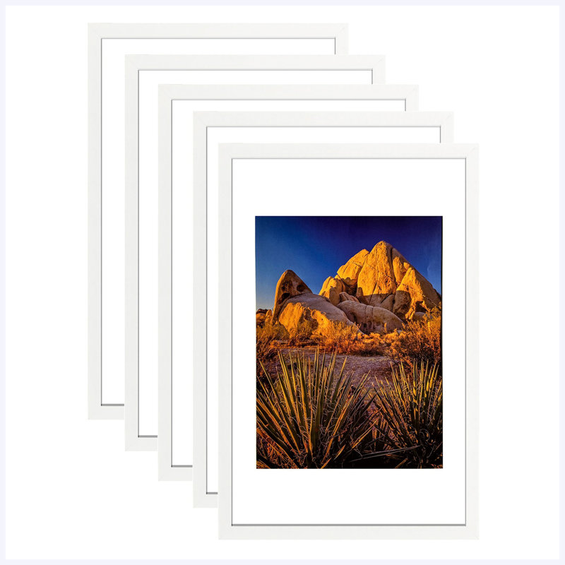Cadre photo 14,2 po x 20,3 po en PVC blanc, présentoir mural, ensemble de 5, 7,9 lb, White