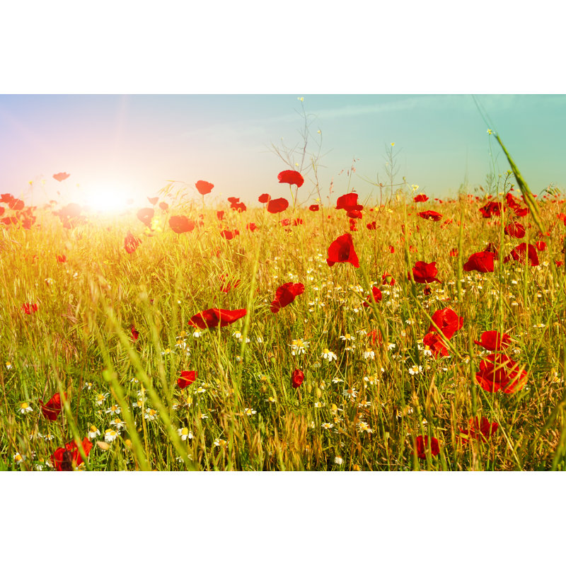 Gavrilin Bright Red Poppy Flowers - Wrapped Canvas Print, 20cm H x 30cm W x 3.8cm D