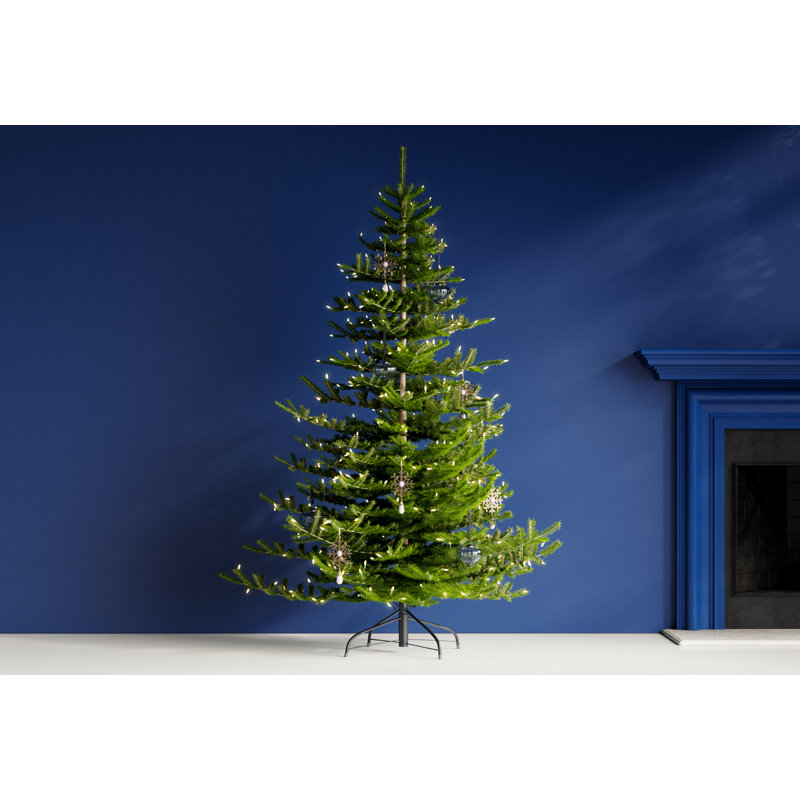 Lighted Christmas Tree, 6.5' H
