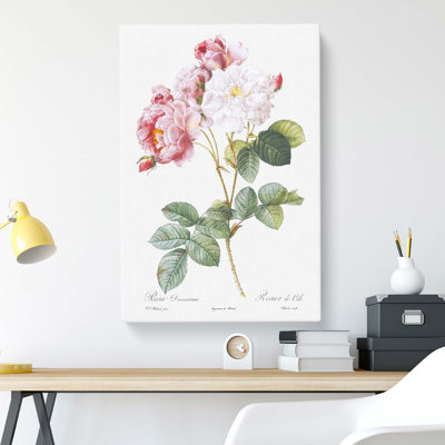 Damask Roses In Pink - Wrapped Canvas Painting