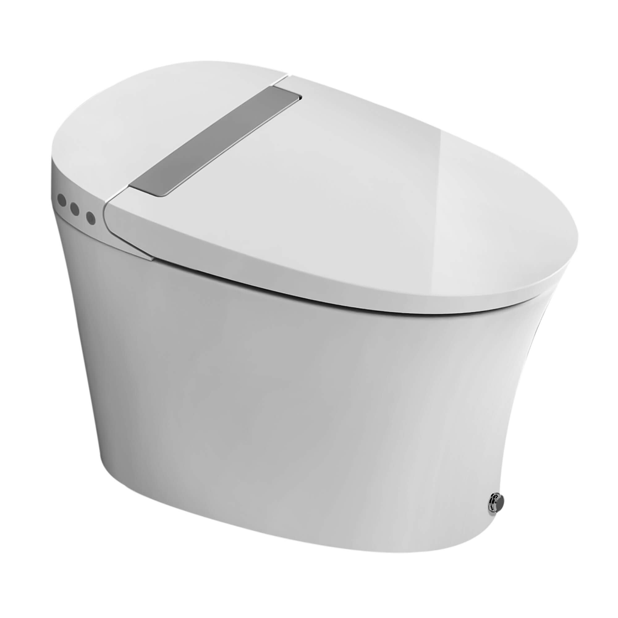 https://assets.wfcdn.com/im/14222642/compr-r85/1559/155973842/dual-flush-elongated-one-piece-toilet-seat-included.jpg