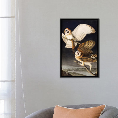 «Barn Owl Audubon Commission», impression sur toile